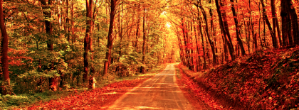 Fall Autumn Road Facebook Covers